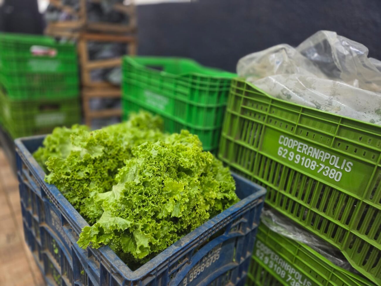 WhatsApp Image 2026-01-29 at 14.05.16 (1)